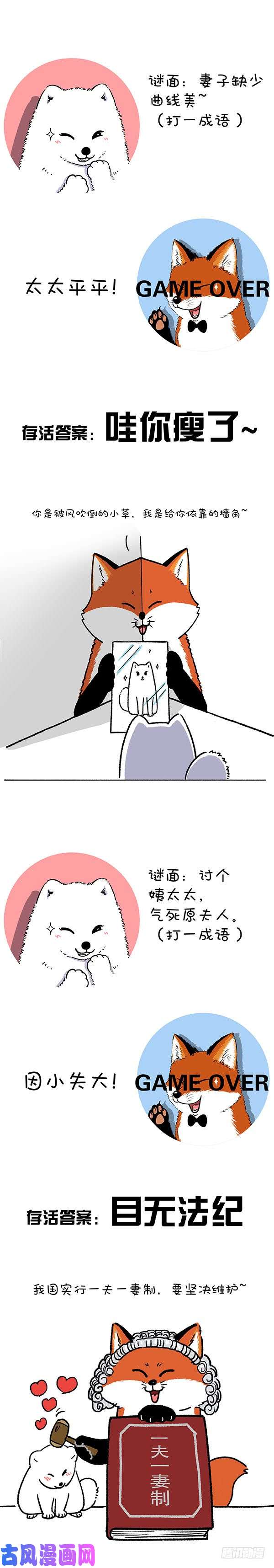 快把动物放进冰箱211对元宵彩灯和灯谜的认知升级