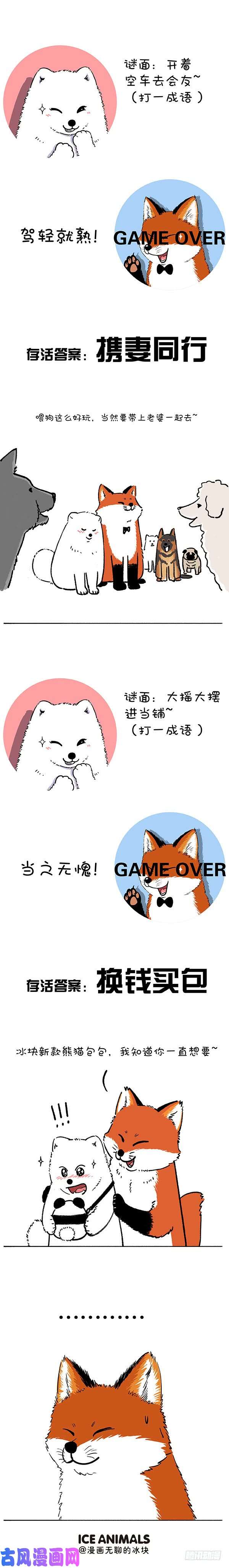快把动物放进冰箱211对元宵彩灯和灯谜的认知升级