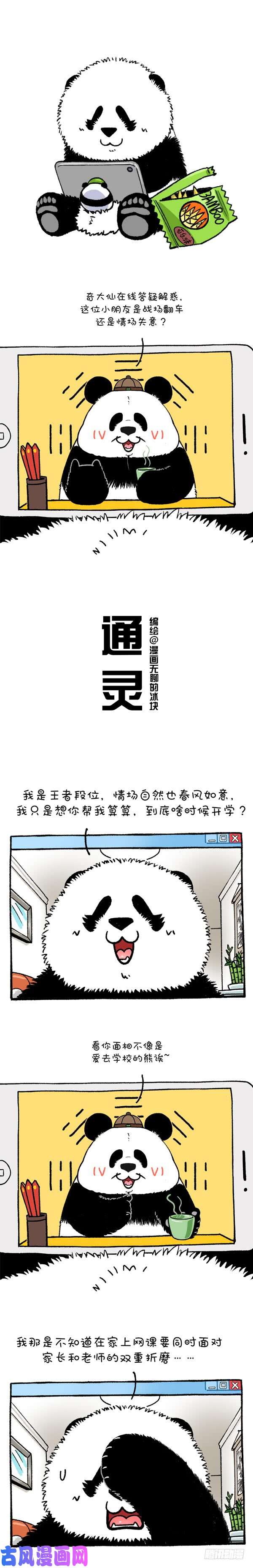 快把动物放进冰箱213萌熊大仙在线算命