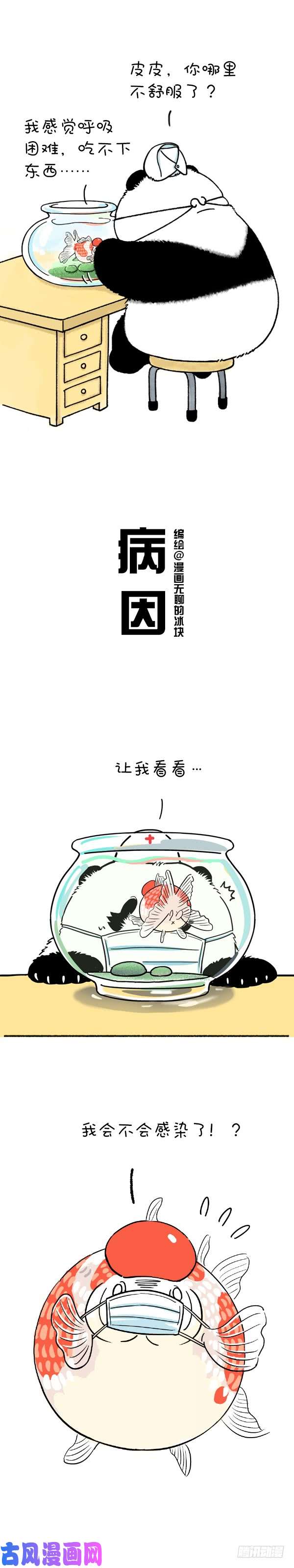 快把动物放进冰箱215我就是你的灵魂治疗思