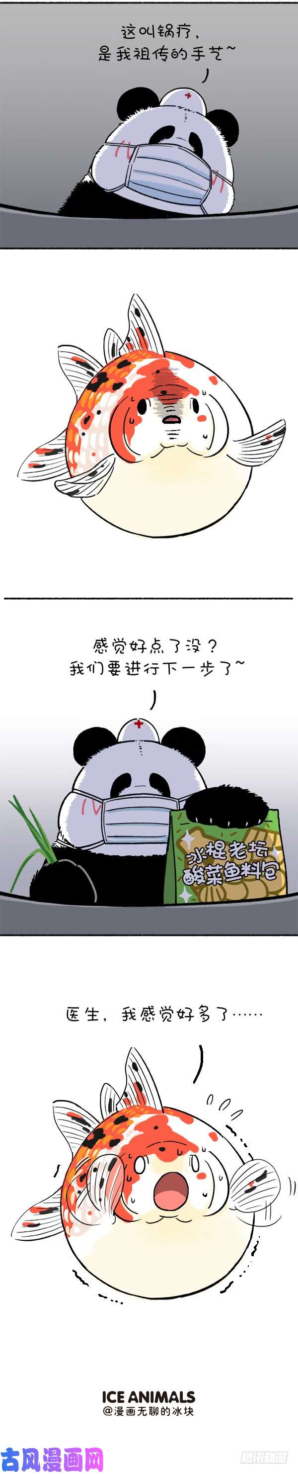 快把动物放进冰箱215我就是你的灵魂治疗思