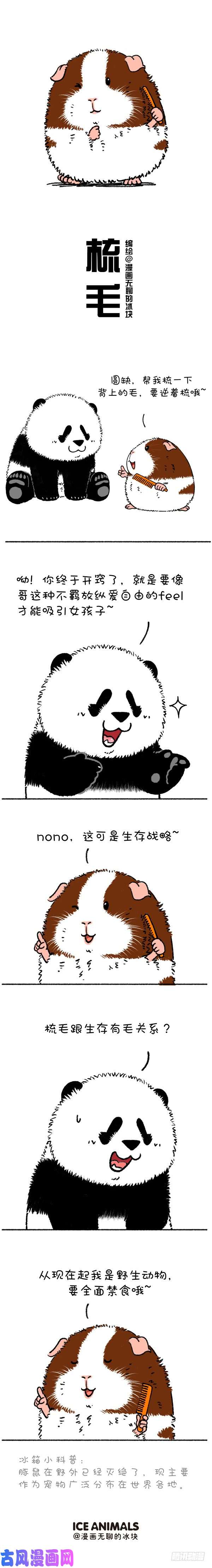 快把动物放进冰箱216原谅我这一生不羁放纵太可口