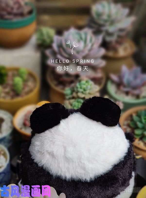 快把动物放进冰箱218给世界添点绿