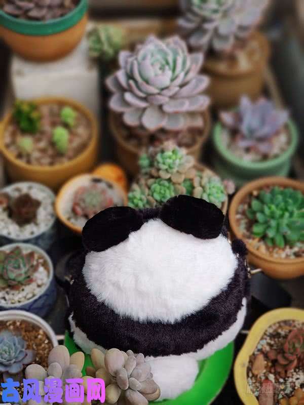 快把动物放进冰箱218给世界添点绿