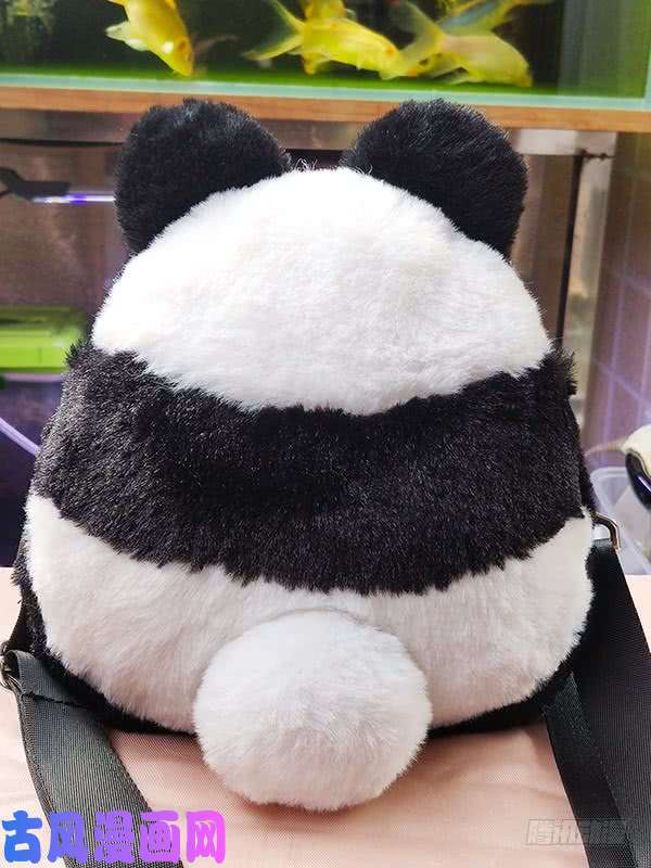 快把动物放进冰箱218给世界添点绿