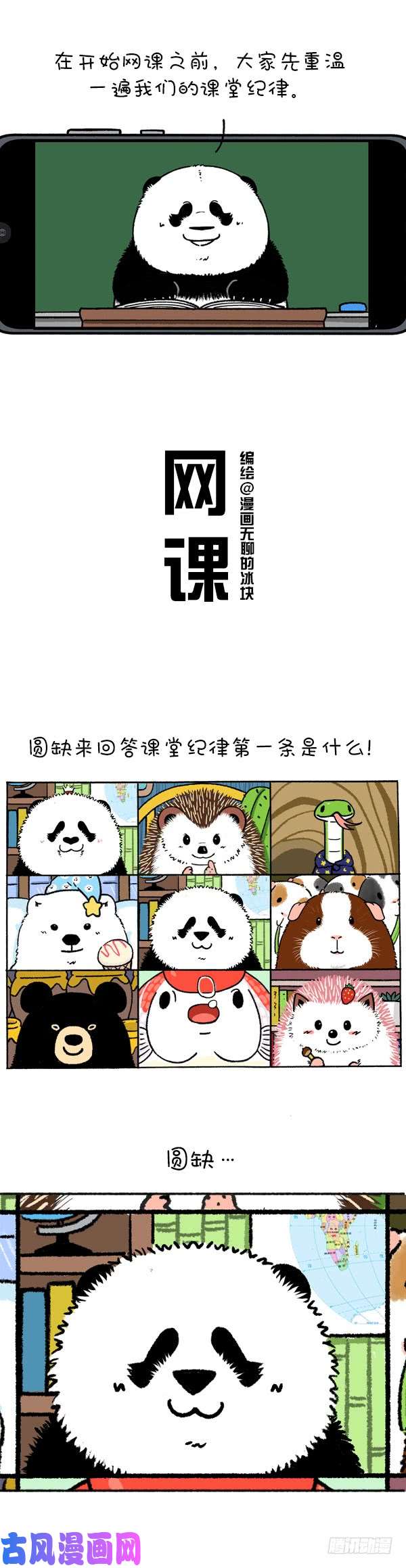 快把动物放进冰箱219圆宝老师网课翻车现场