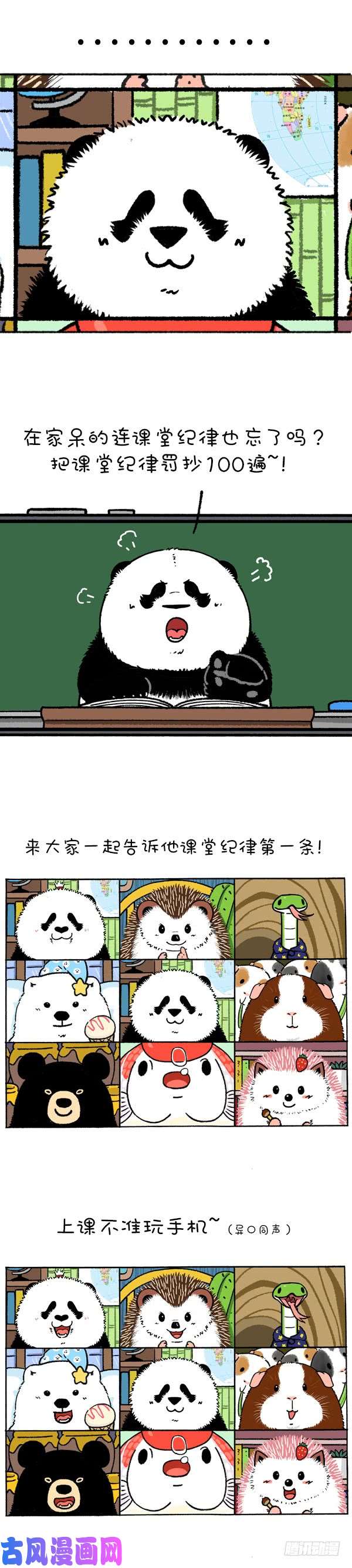 快把动物放进冰箱219圆宝老师网课翻车现场