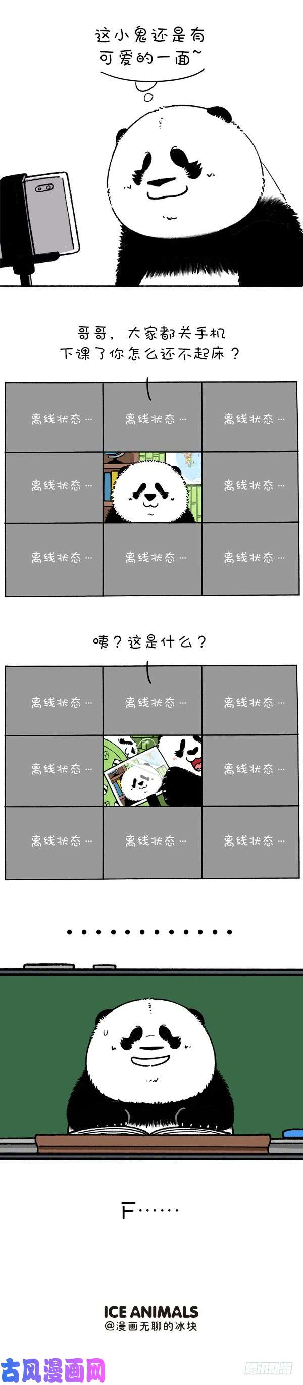 快把动物放进冰箱219圆宝老师网课翻车现场