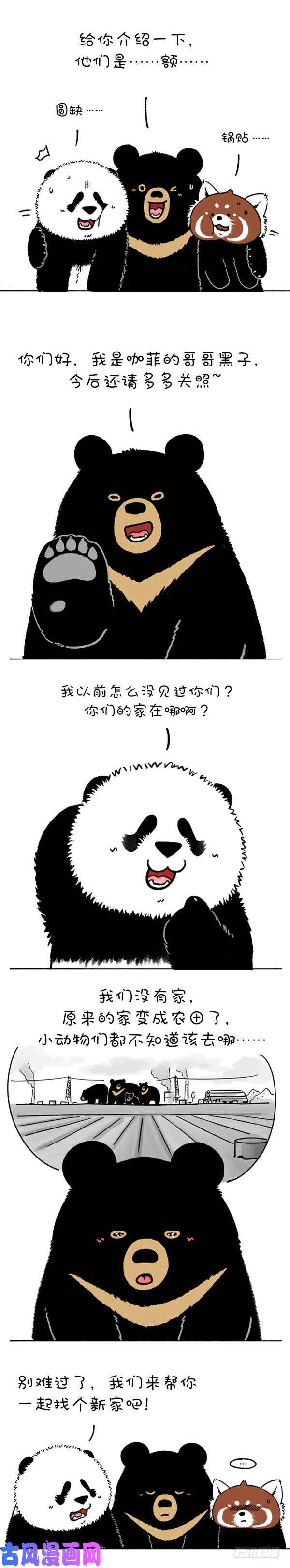 快把动物放进冰箱220熊挪活，树挪死