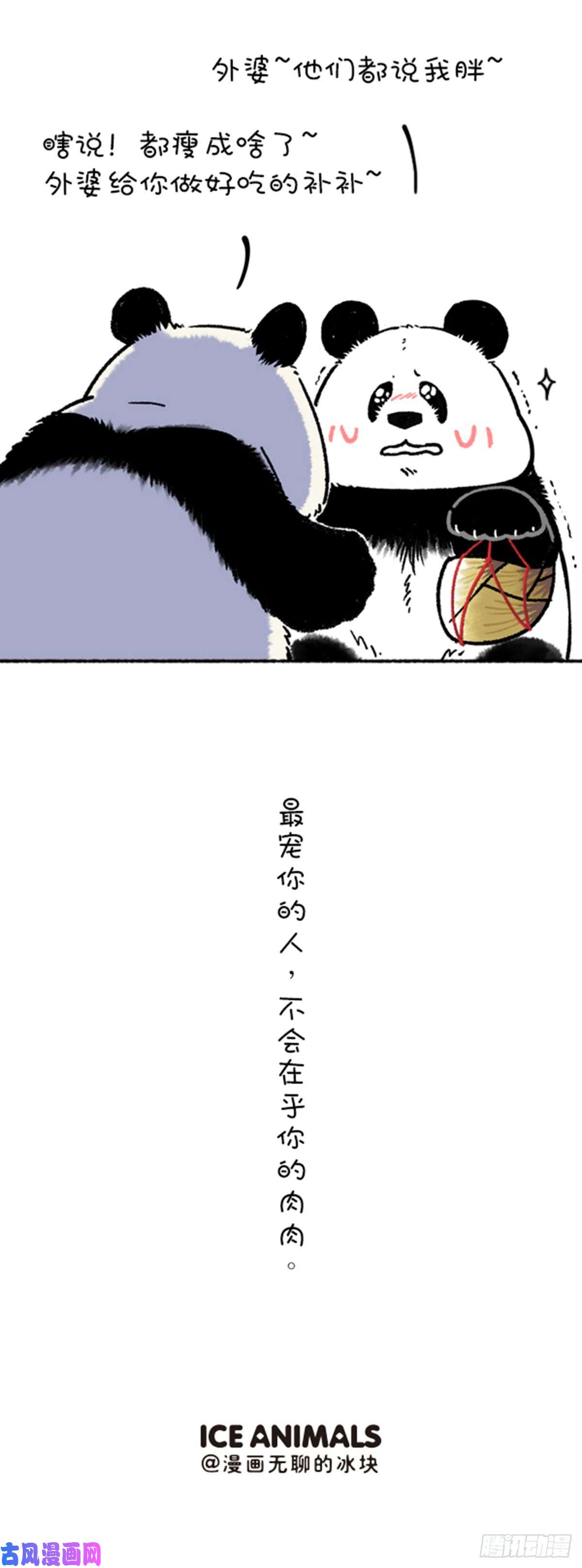 快把动物放进冰箱减肥还是要找对的人~