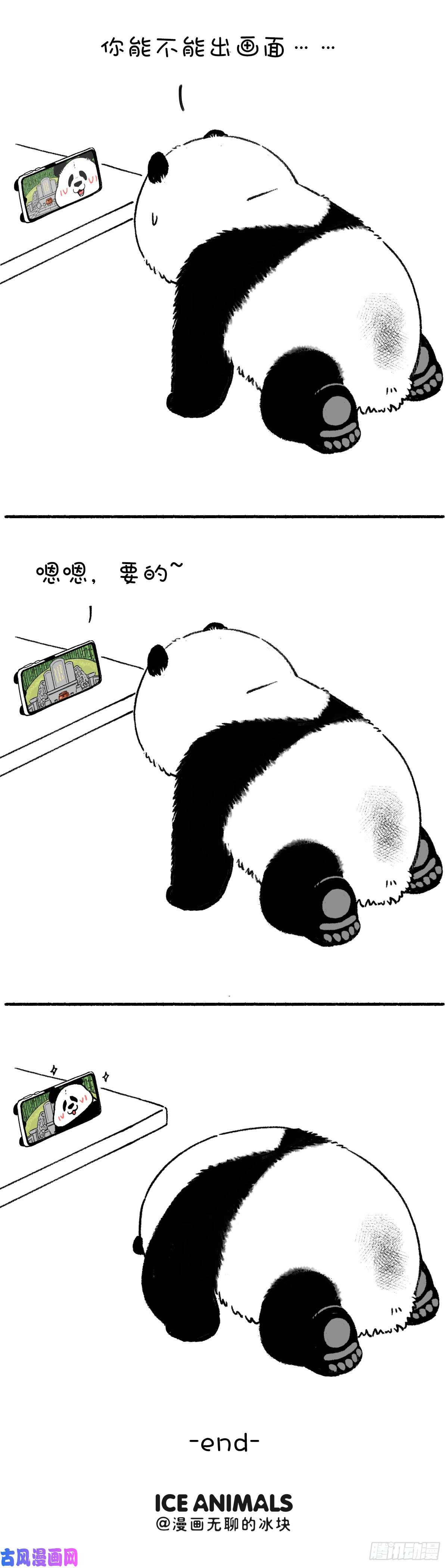 快把动物放进冰箱传统清明创新过