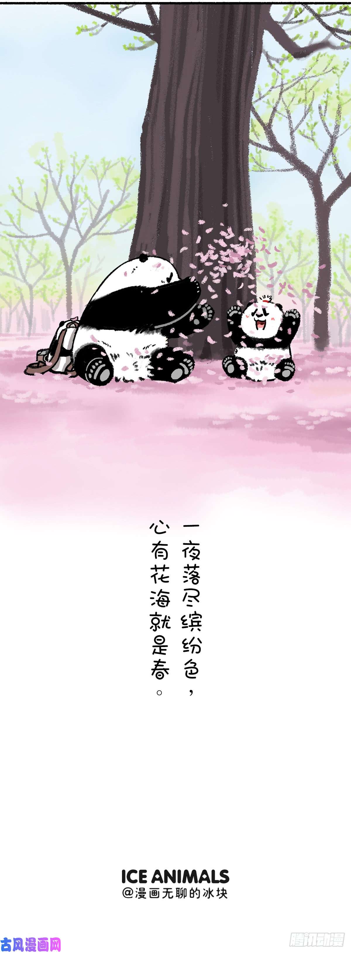 快把动物放进冰箱没有什么能够阻挡春天的脚步