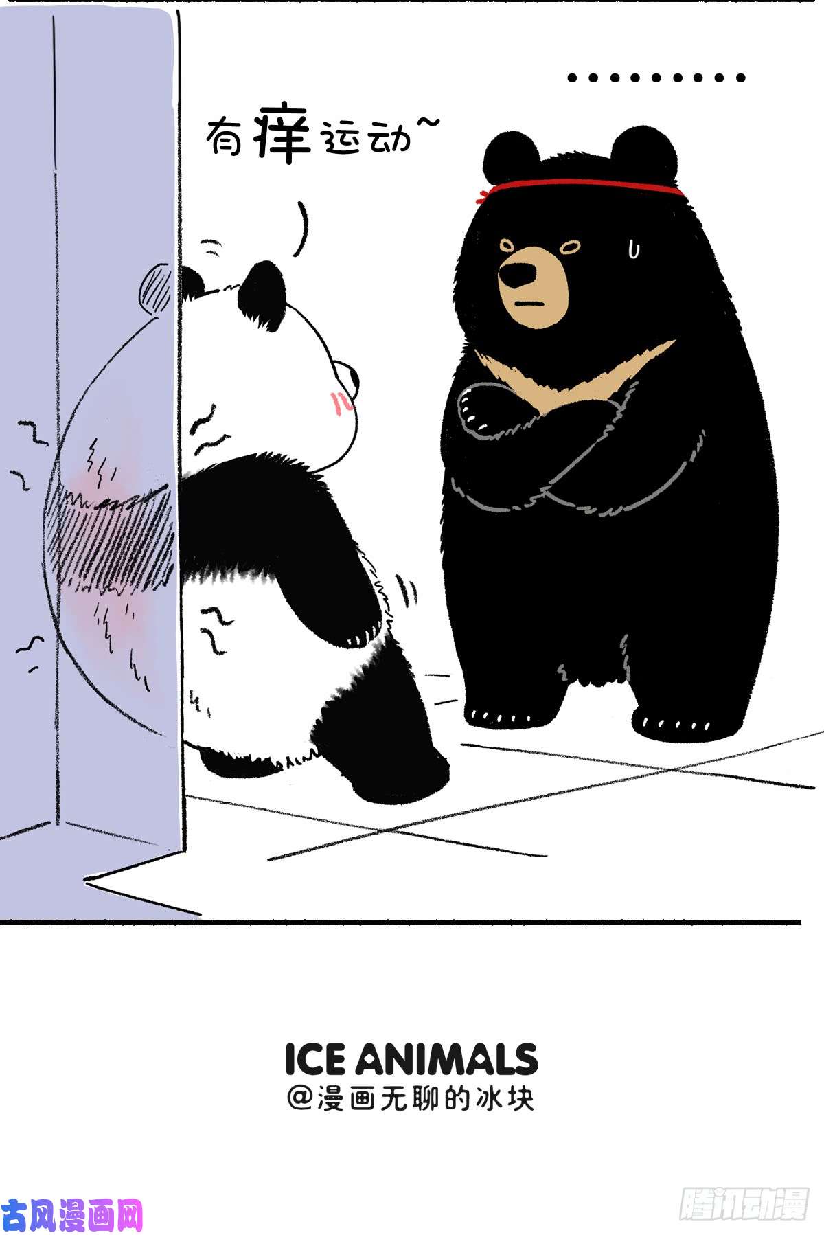 快把动物放进冰箱看你的路数好像不是本地熊