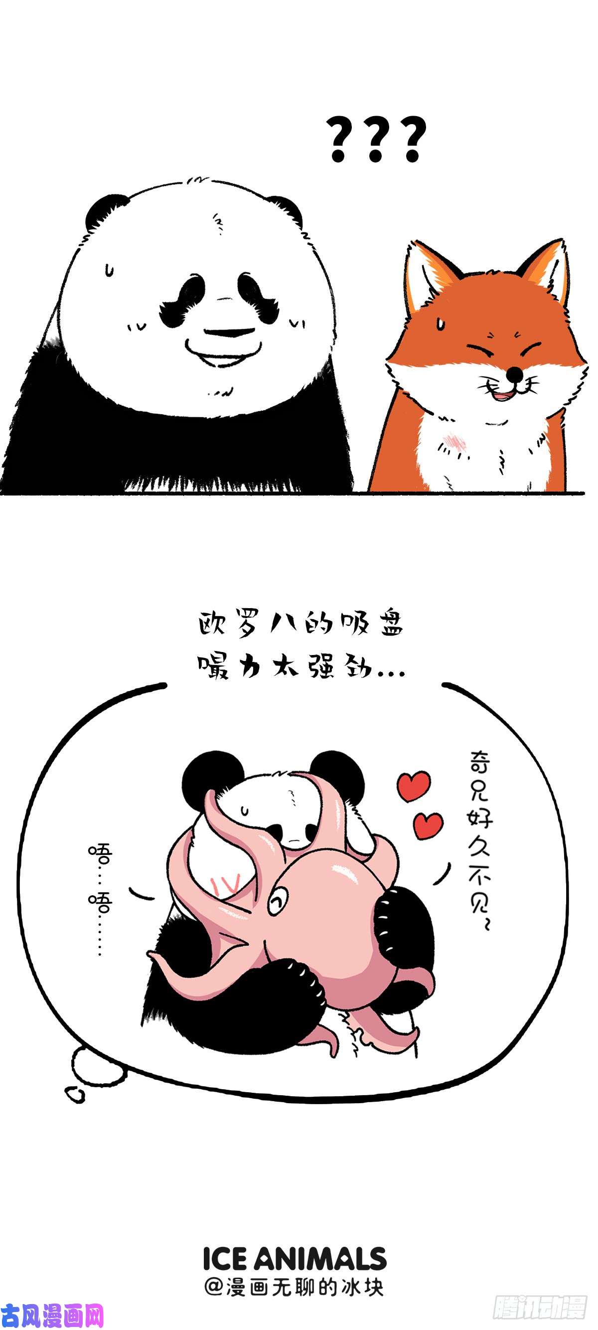 快把动物放进冰箱别误会，我不是随便的熊……