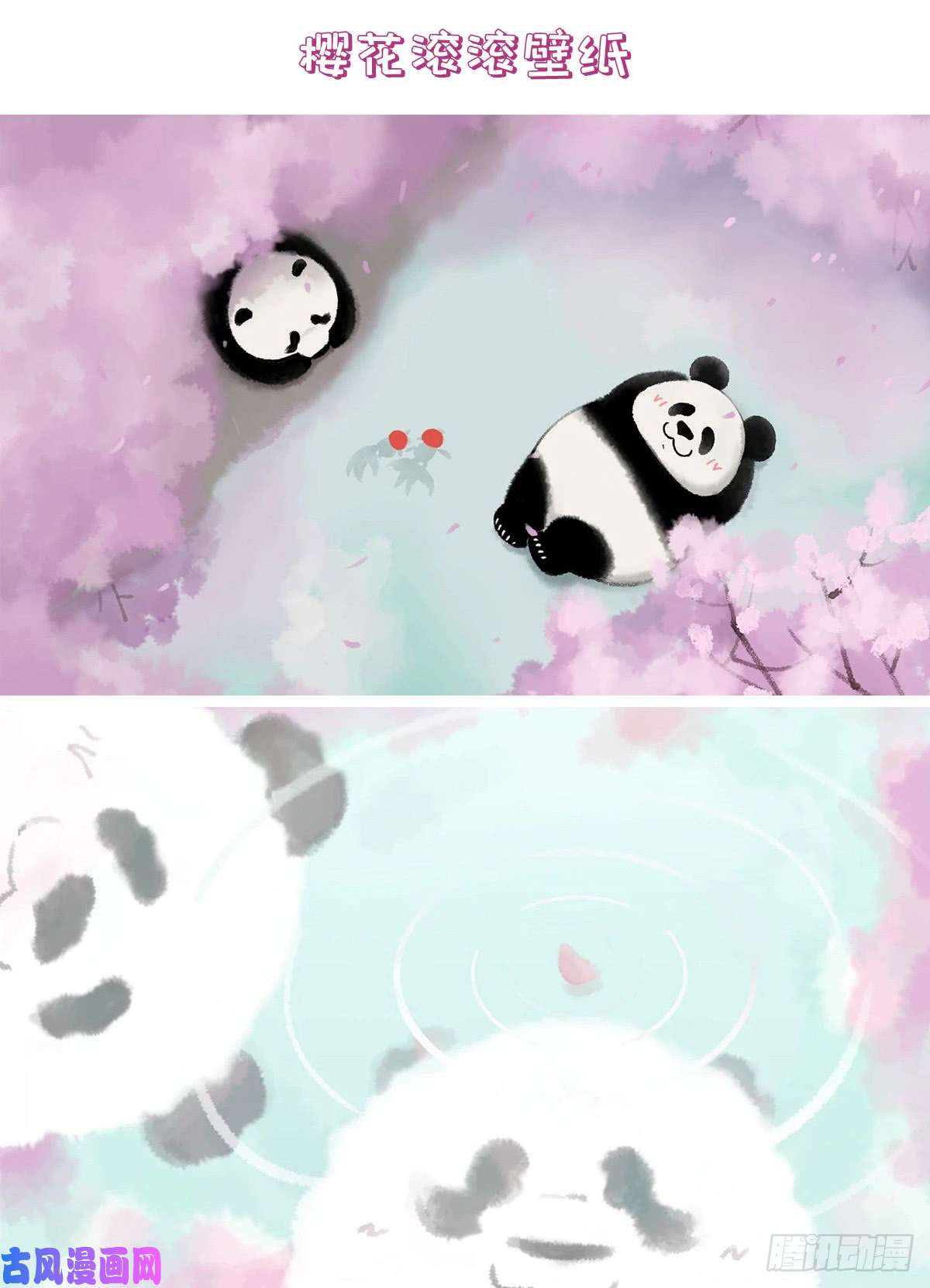 快把动物放进冰箱别误会，我不是随便的熊……