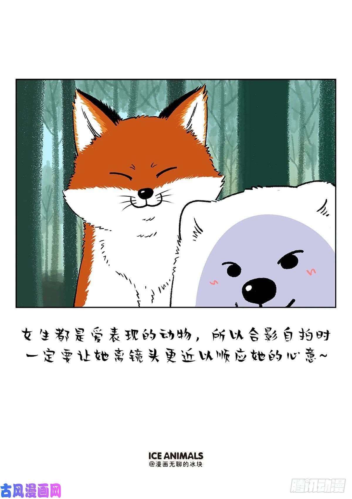 快把动物放进冰箱阿直恋爱课堂Lesson4