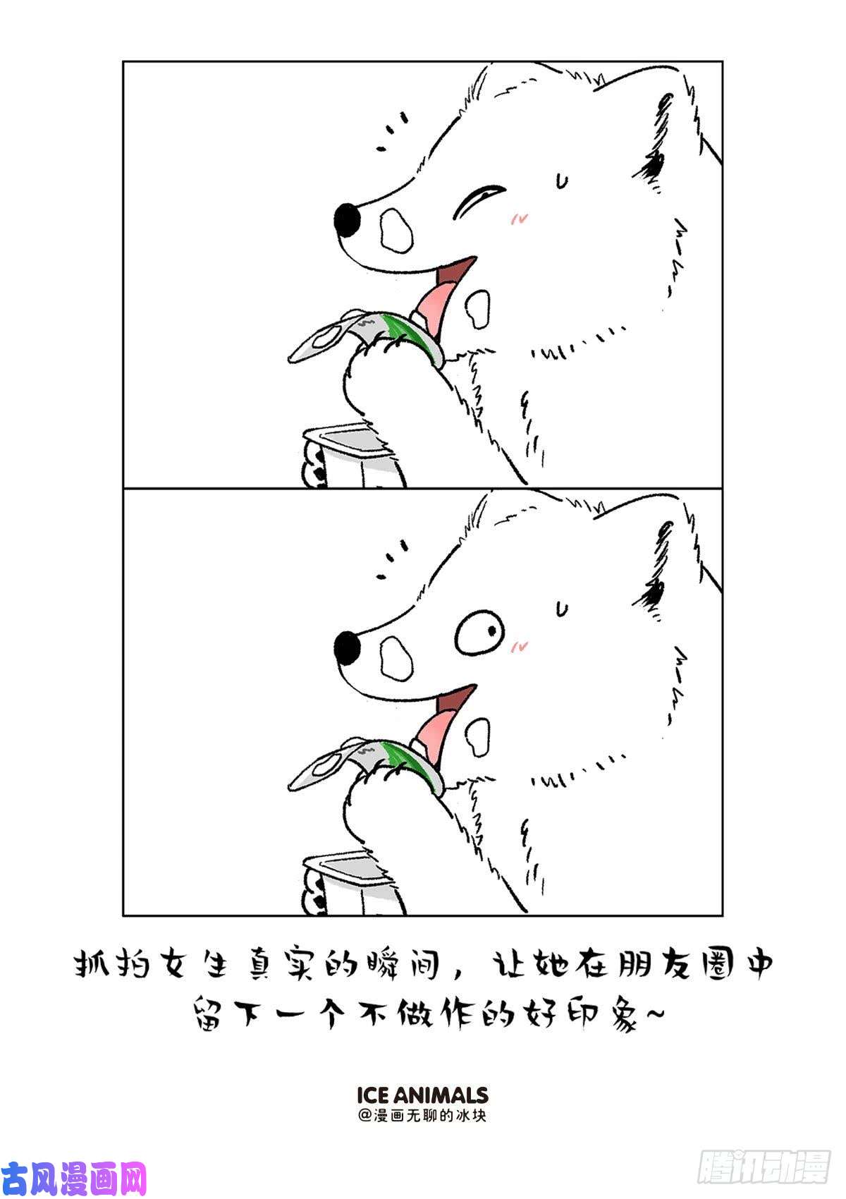 快把动物放进冰箱阿直恋爱课堂Lesson4
