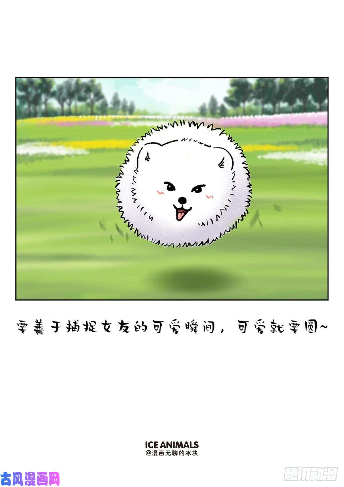 快把动物放进冰箱阿直恋爱课堂Lesson4