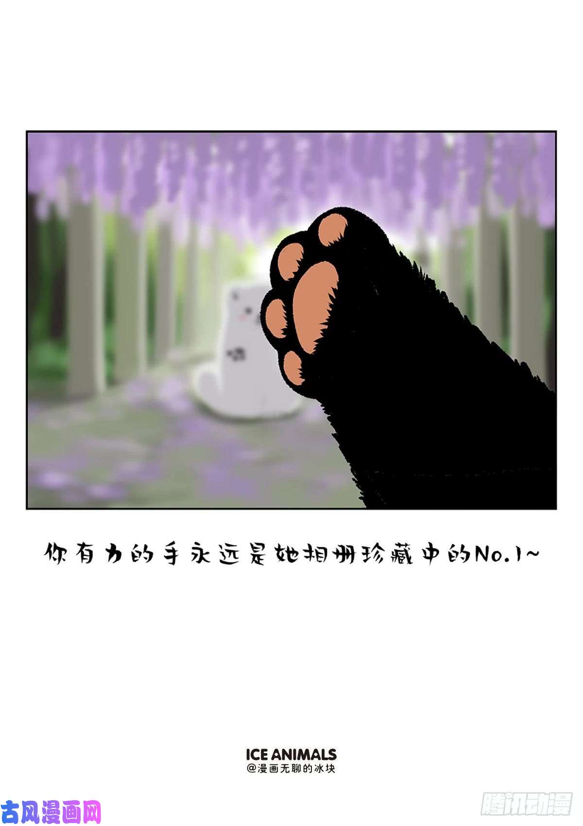 快把动物放进冰箱阿直恋爱课堂Lesson4