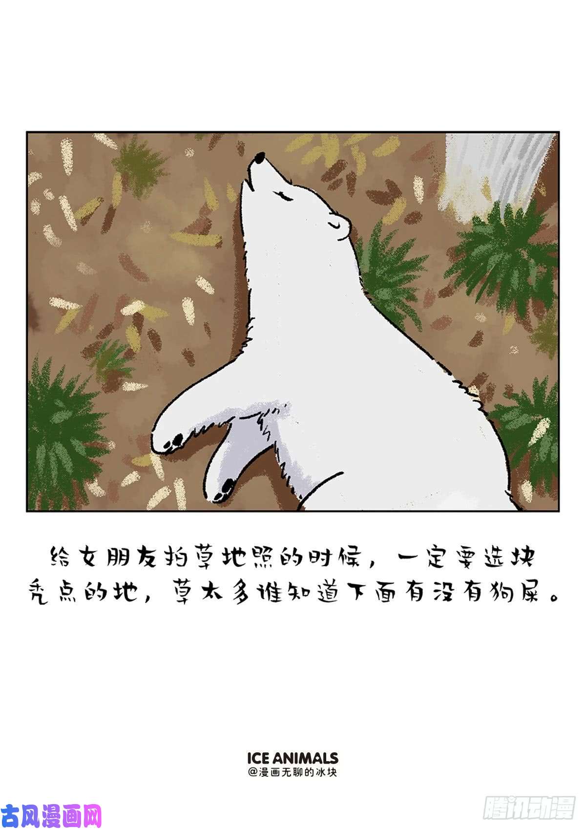快把动物放进冰箱阿直恋爱课堂Lesson4