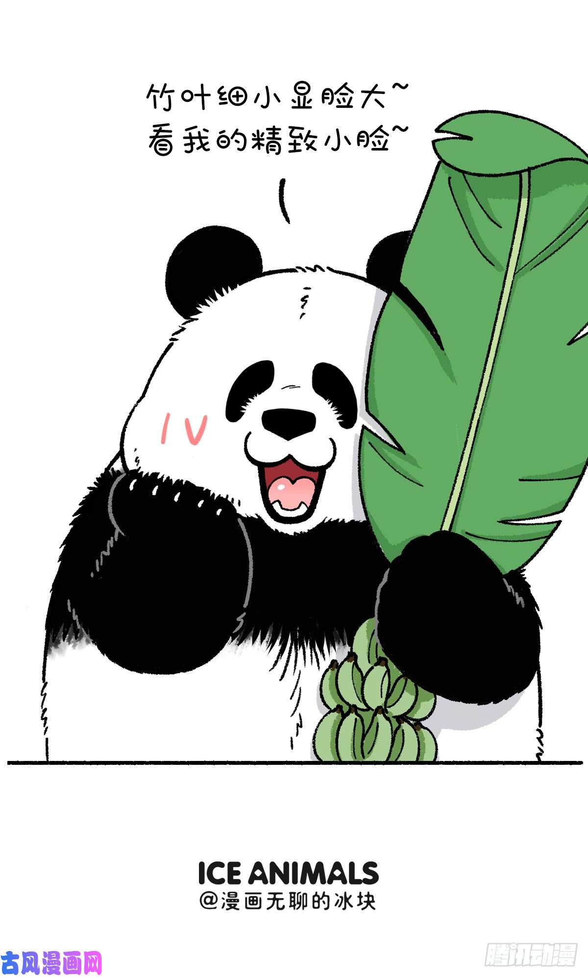 快把动物放进冰箱一招解决大脸问题