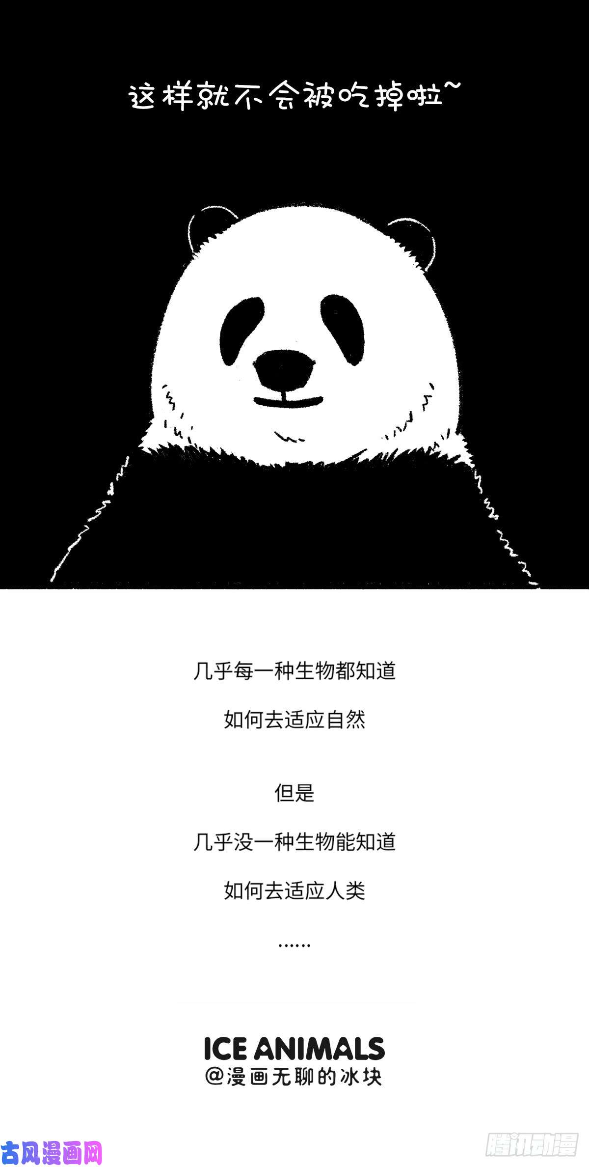快把动物放进冰箱改变已从这一刻悄然开始