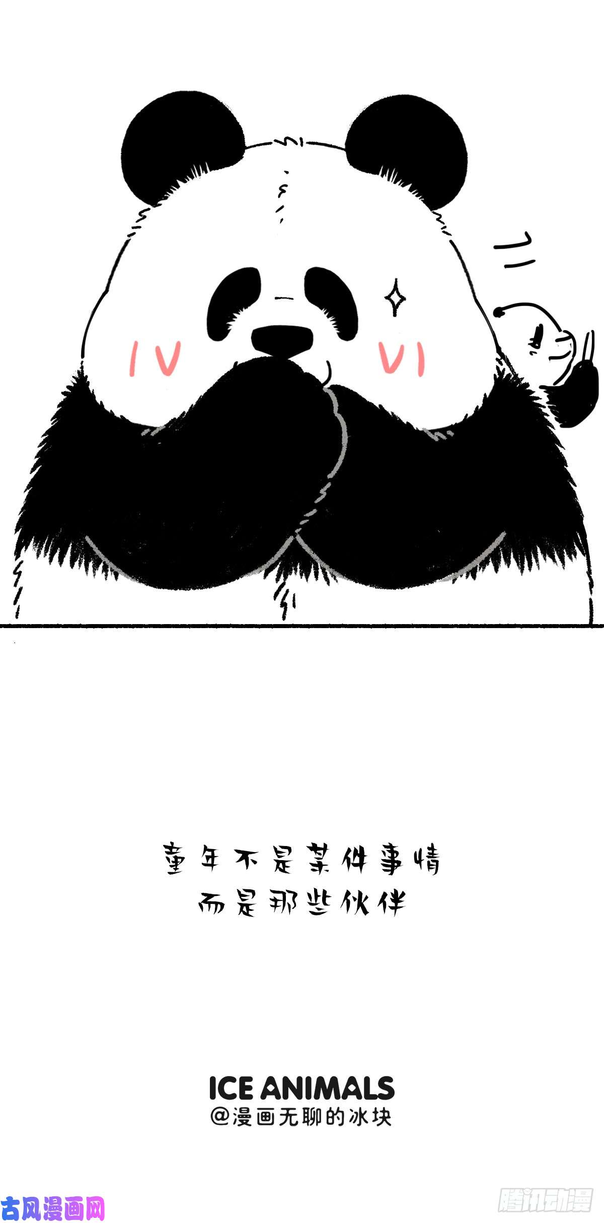快把动物放进冰箱让我们用成年人的方式讲讲儿童节