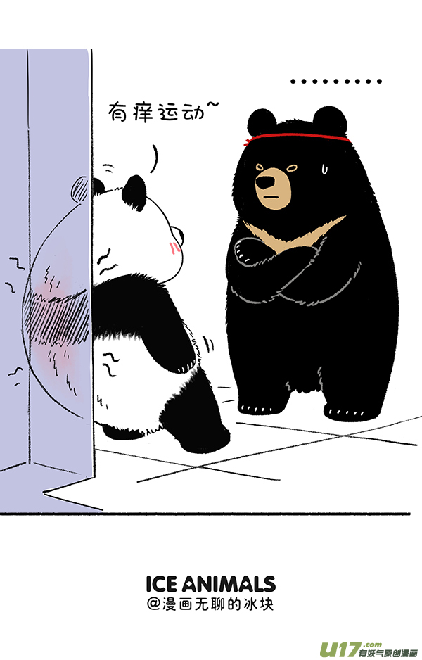 快把动物放进冰箱运动／别误会，我是熊又不是猪！