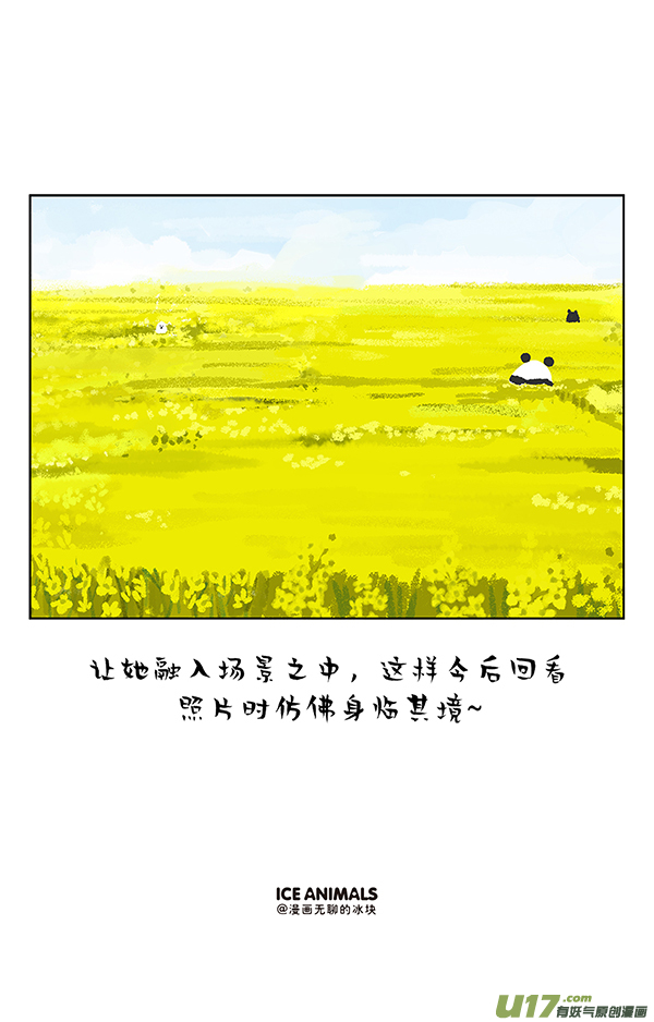 快把动物放进冰箱阿直恋爱课堂摄影篇／一招解决脸大