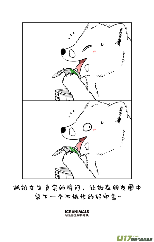 快把动物放进冰箱阿直恋爱课堂摄影篇／一招解决脸大