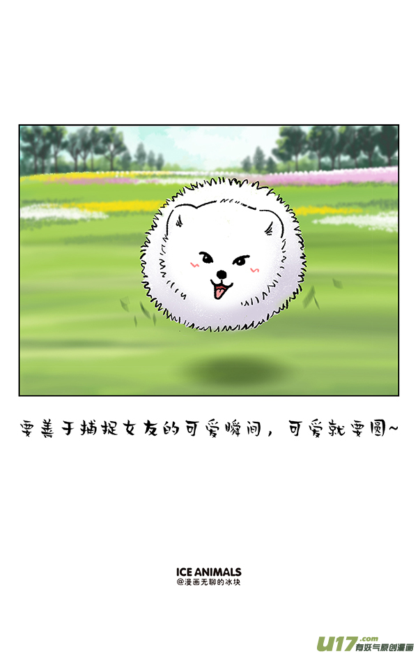 快把动物放进冰箱阿直恋爱课堂摄影篇／一招解决脸大