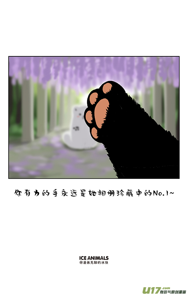 快把动物放进冰箱阿直恋爱课堂摄影篇／一招解决脸大
