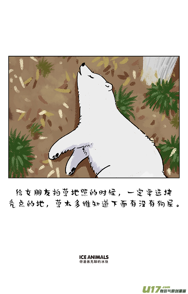 快把动物放进冰箱阿直恋爱课堂摄影篇／一招解决脸大