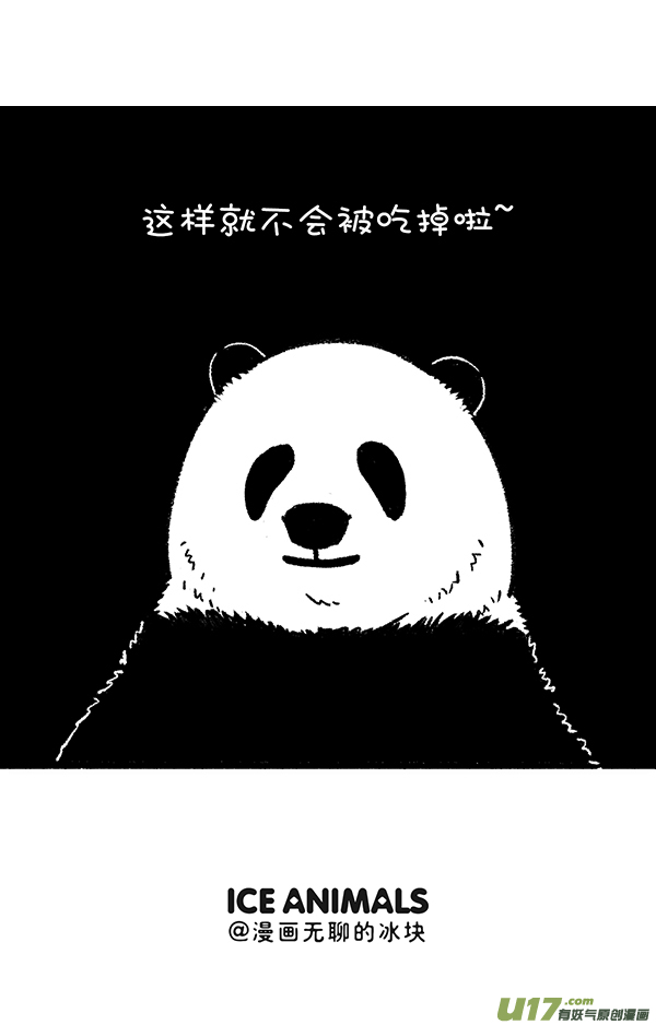 快把动物放进冰箱有毒／颜色／疗效