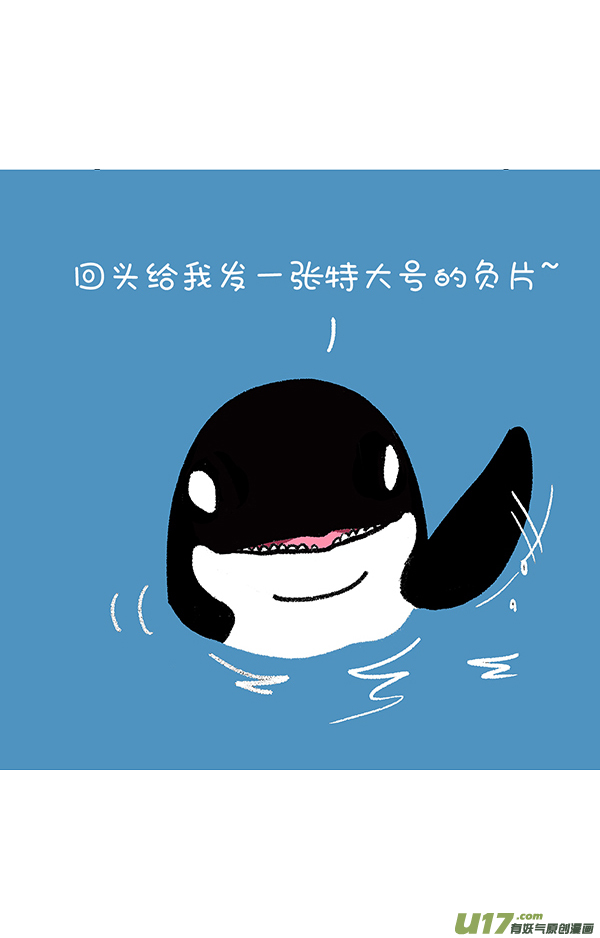 快把动物放进冰箱海洋日／蚊子