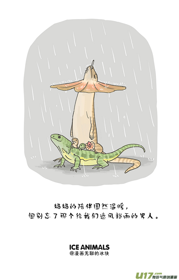 快把动物放进冰箱谁在上风口谁输／这位先生好帅好帅