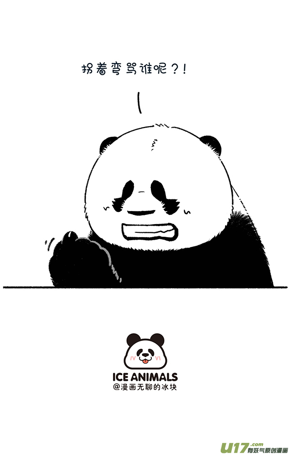 快把动物放进冰箱包粽子／喝了雄黄酒，还是好盆友~
