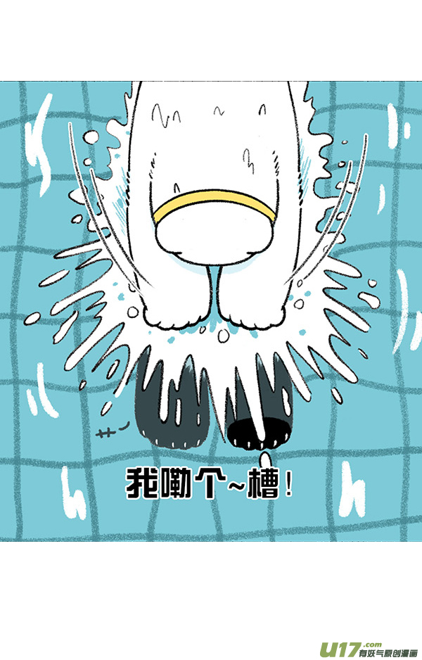 快把动物放进冰箱这是一场盛夏的降维打击！／吃瓜