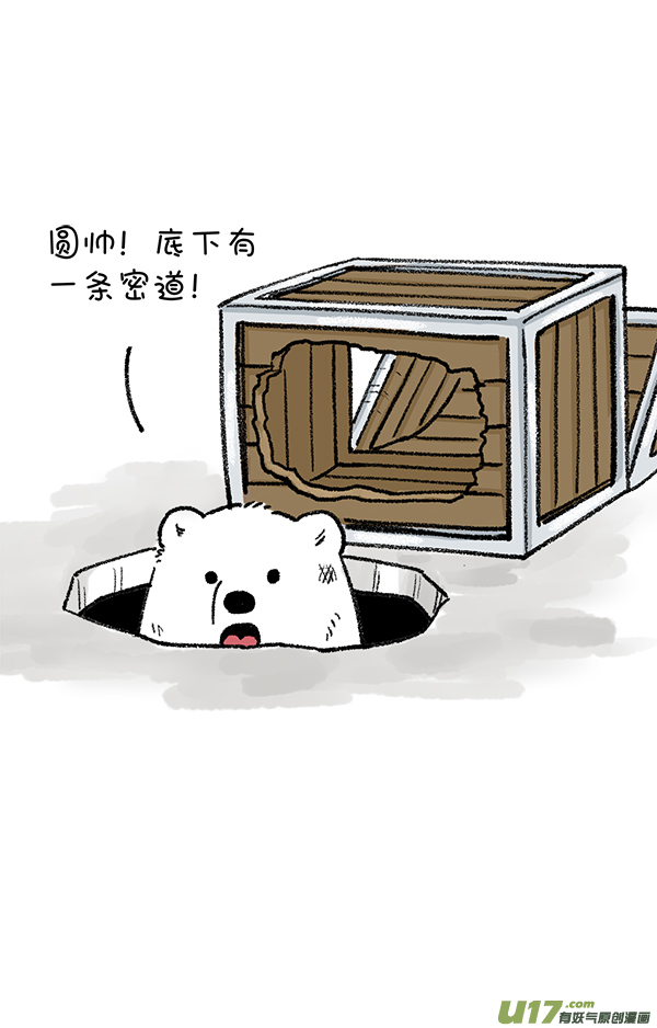 快把动物放进冰箱只有对的那个人才能找到~