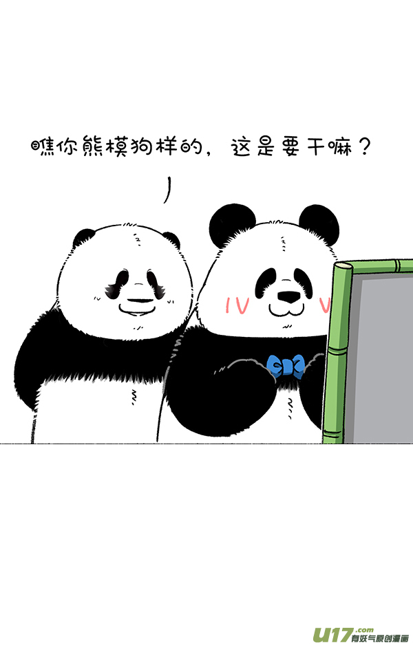快把动物放进冰箱别问假期有什么安排