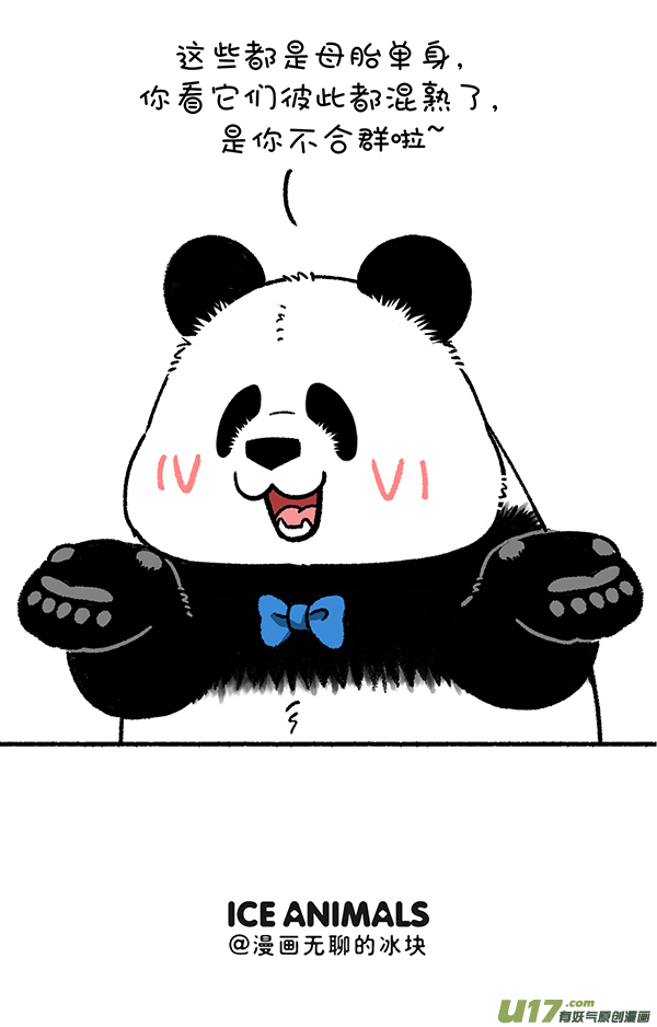 快把动物放进冰箱别问假期有什么安排