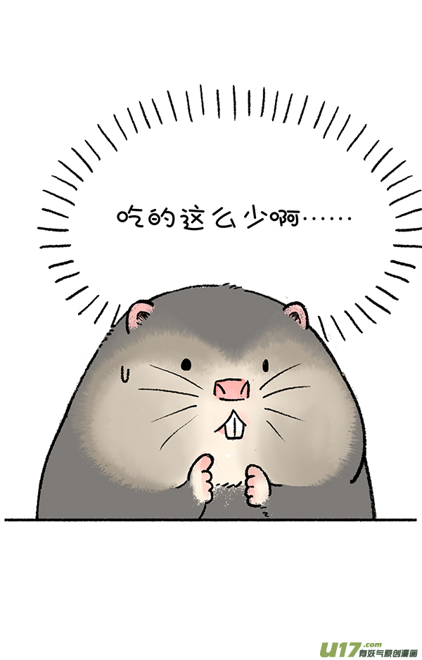 快把动物放进冰箱算数／最亏的串串香老板