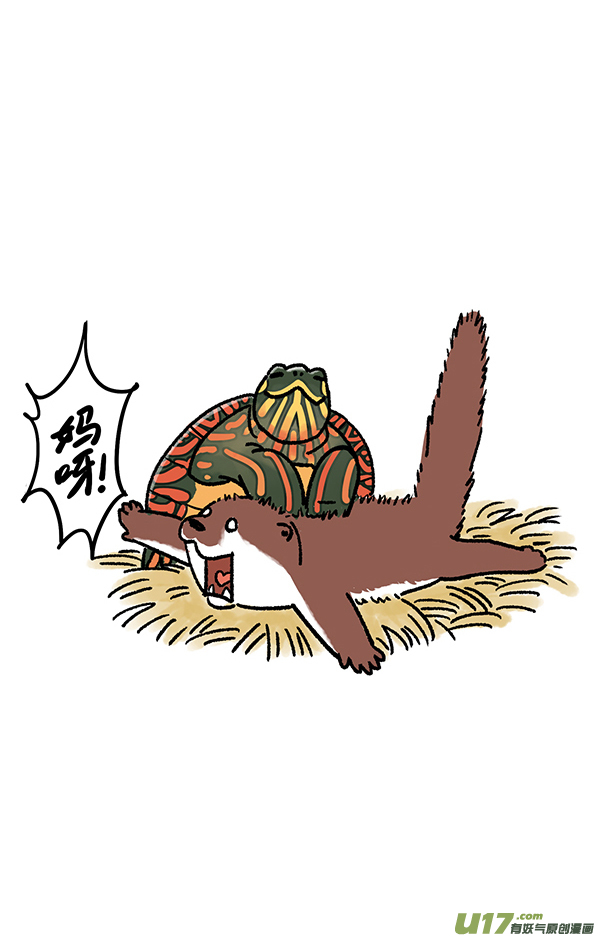 快把动物放进冰箱登月／跷跷板／寒冰掌