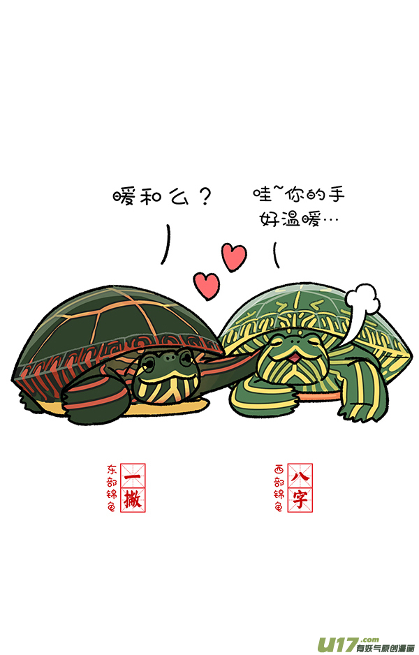 快把动物放进冰箱登月／跷跷板／寒冰掌