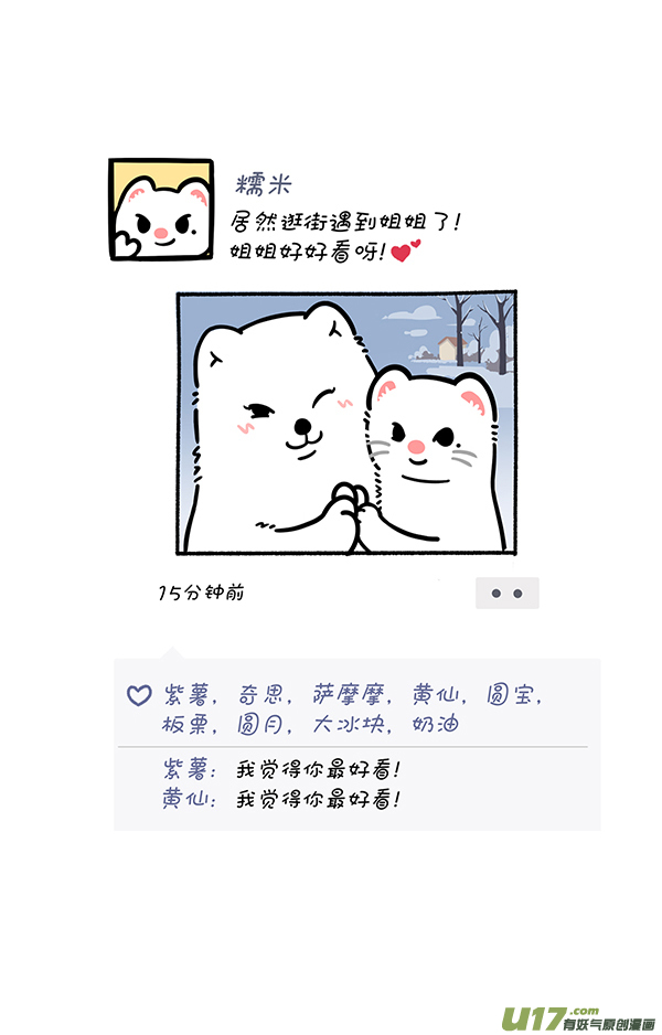 快把动物放进冰箱照片这一拍，生活就很嗨~