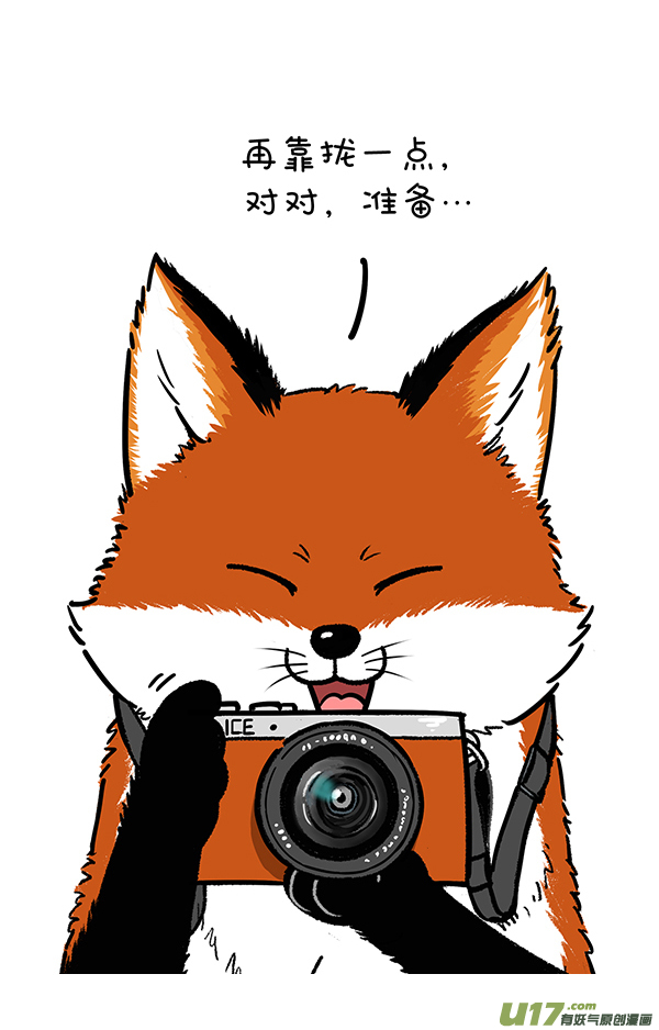 快把动物放进冰箱照片这一拍，生活就很嗨~