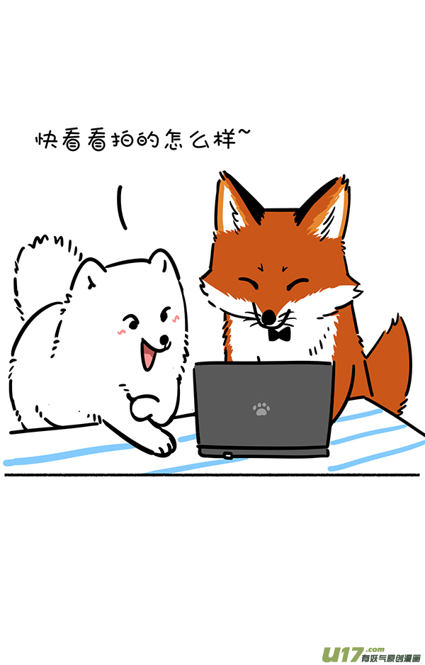 快把动物放进冰箱照片这一拍，生活就很嗨~