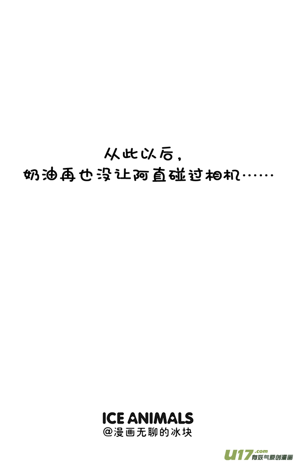 快把动物放进冰箱照片这一拍，生活就很嗨~