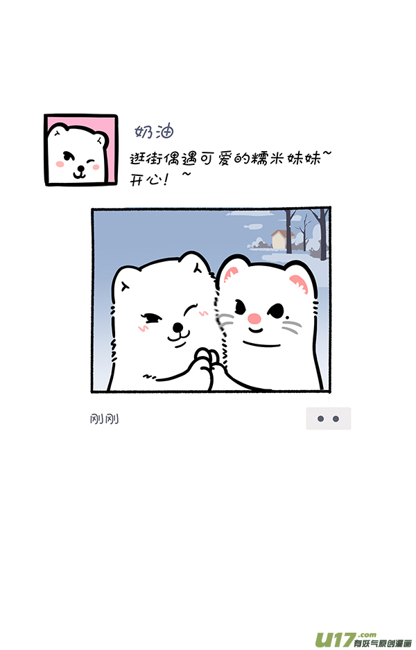 快把动物放进冰箱照片这一拍，生活就很嗨~