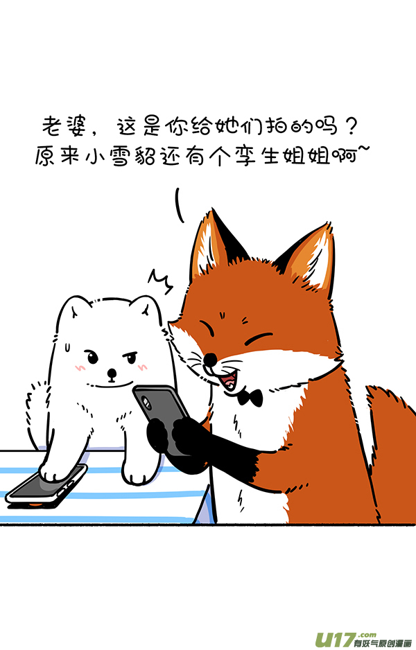 快把动物放进冰箱照片这一拍，生活就很嗨~